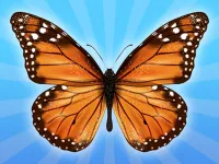 MergeButerfly: 2048!
